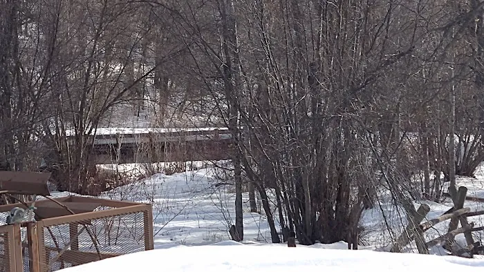 Albert Moser Campground Picture 2