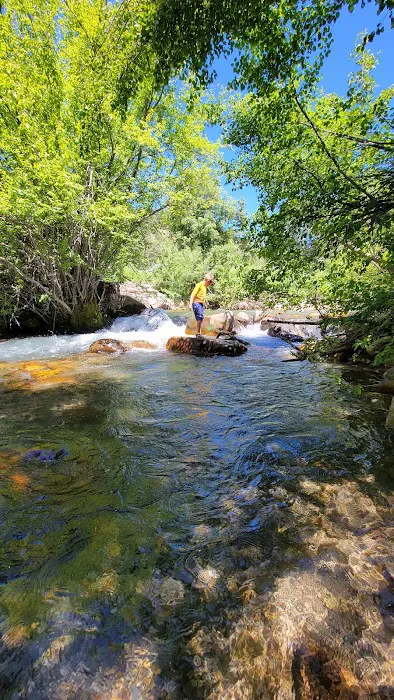 Albert Moser Campground Picture 5