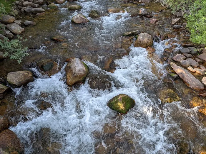 Albert Moser Campground Picture 9