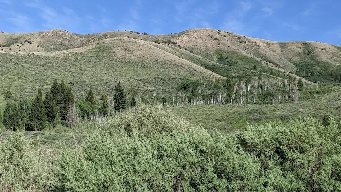 Mink Creek Group Campground Picture 7