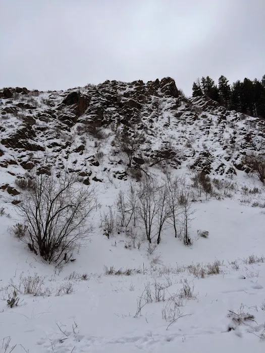 Mink Creek Group Campground Picture 10