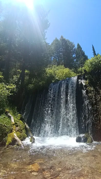 Malad Summit Campground Picture 4