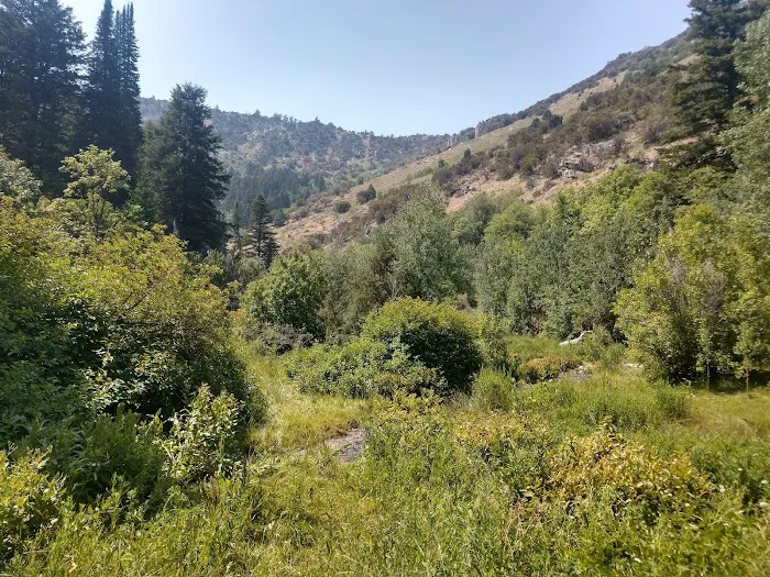 Malad Summit Campground Picture 5