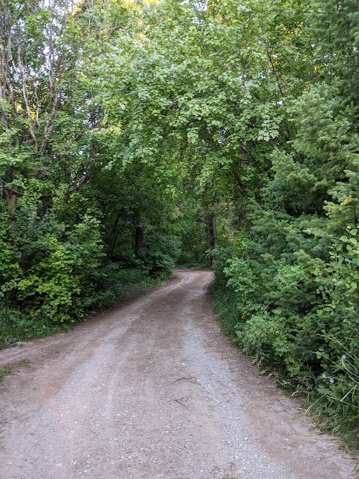 Malad Summit Campground Picture 3
