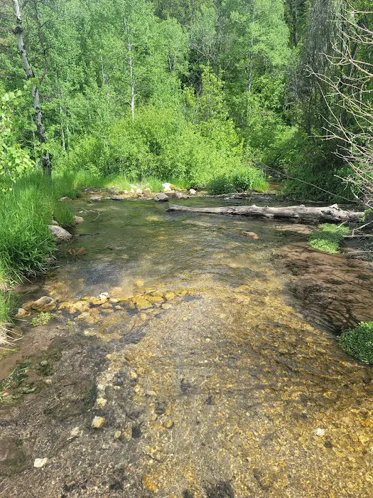Malad Summit Campground Picture 7