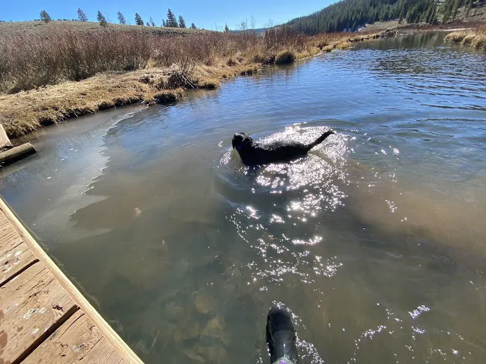 Hams Fork Campground Picture 2