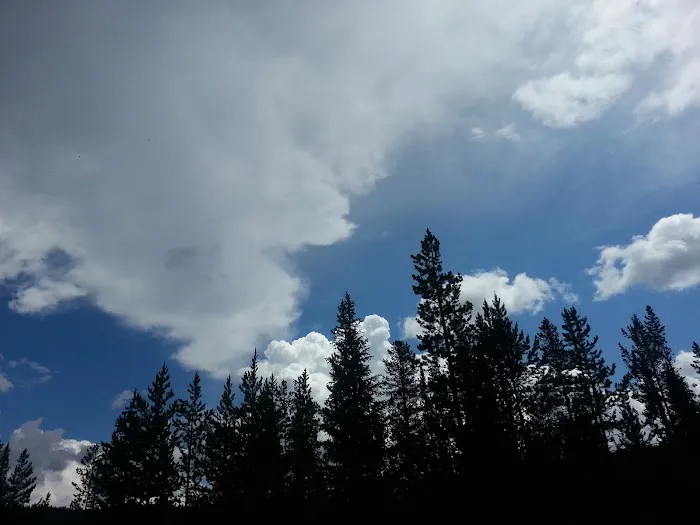 Whiskey Grove Campground Picture 5