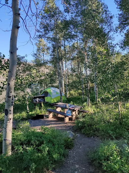 The Narrows Campground Picture 7
