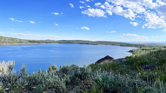 New Fork Lake Campground Picture 2