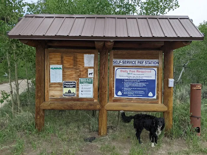New Fork Lake Campground Picture 7