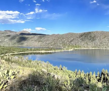 New Fork Lake Campground