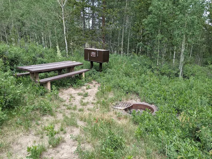 New Fork Lake Campground Picture 6