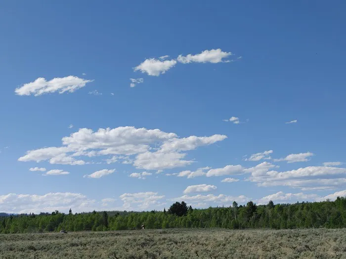 New Fork Lake Campground Picture 5