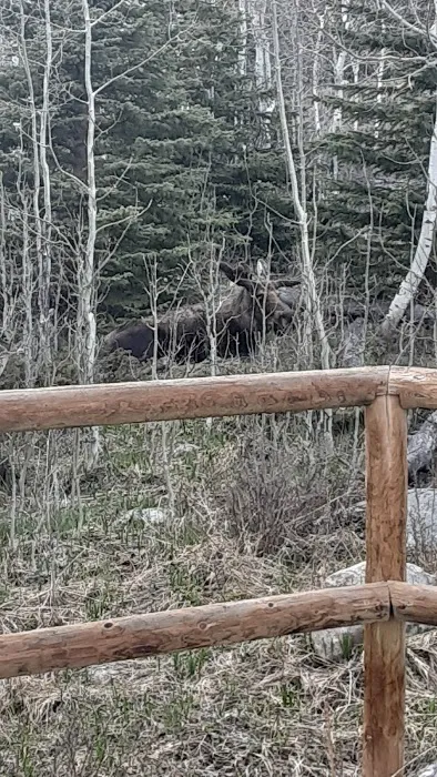 Hunter Trailhead Picture 7