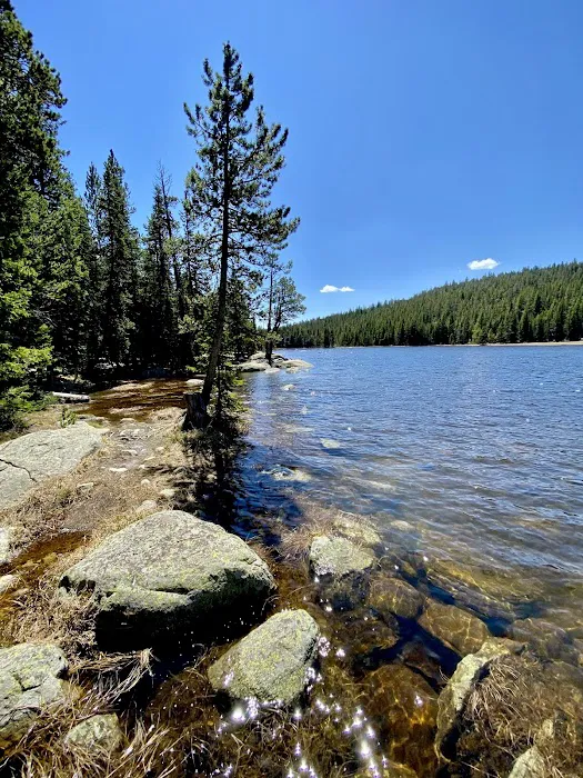 West Tensleep Campground Picture 4