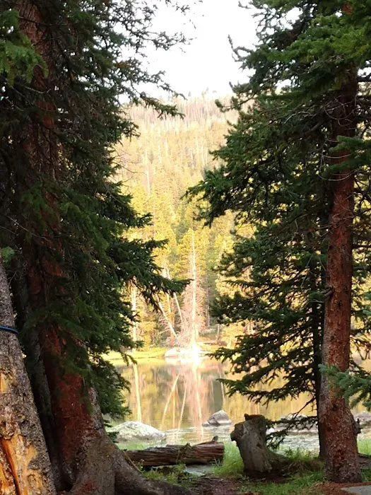 West Tensleep Campground Picture 2