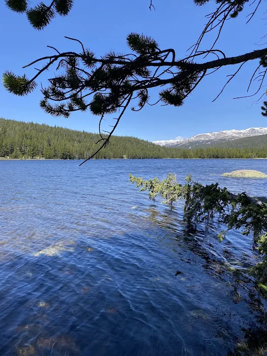 West Tensleep Campground Picture 3