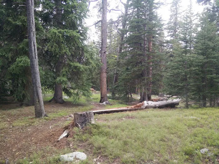 West Tensleep Campground Picture 7