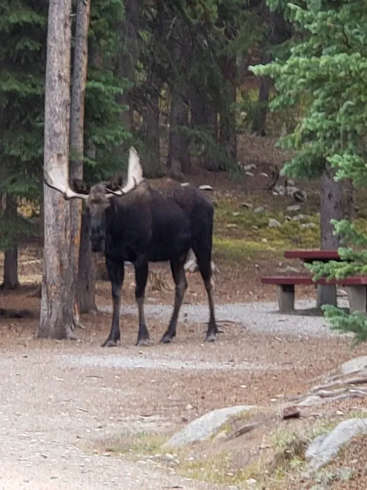 West Tensleep Campground Picture 9