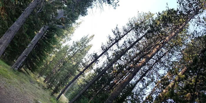 Deer Park Campground Picture 6