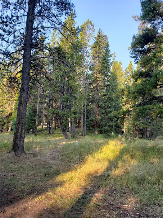 Deer Park Campground Picture 2