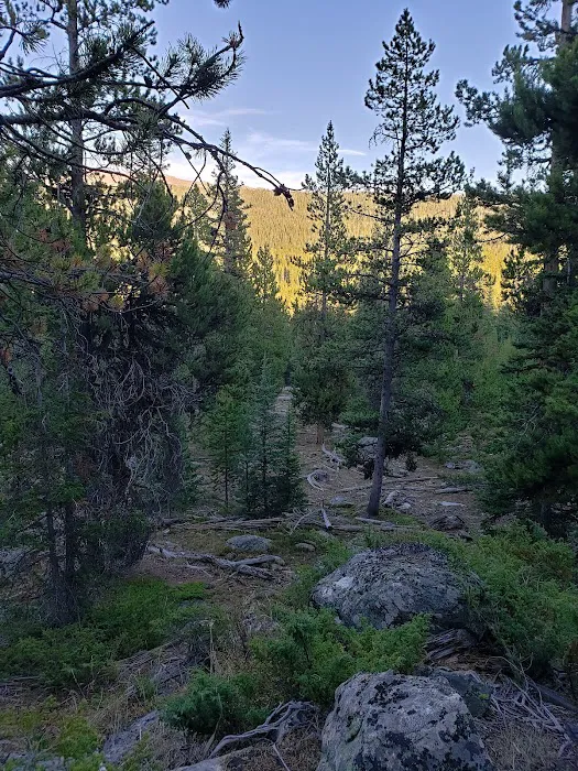 Deer Park Campground Picture 4