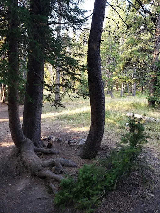 Deer Park Campground Picture 3