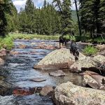 Island Park Campground