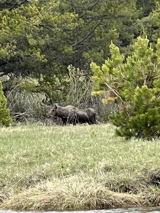 Island Park Campground Picture 5