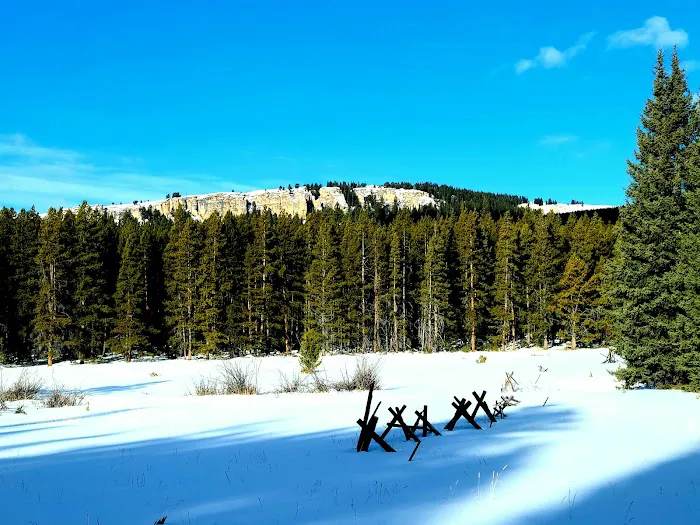 Willow Park Campground Picture 4