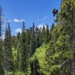Willow Park Campground