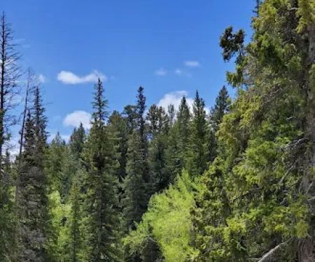 Willow Park Campground