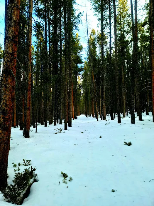 Willow Park Campground Picture 9