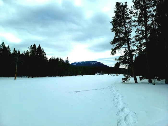 Willow Park Campground Picture 8