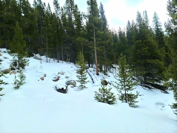 Willow Park Campground Picture 7