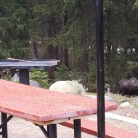 Boulder Park Campground ico
