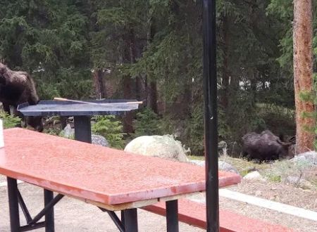 Boulder Park Campground