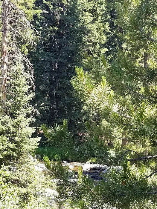 Boulder Park Campground Picture 8