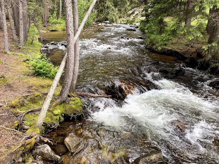 Middle Fork Campground Picture 8