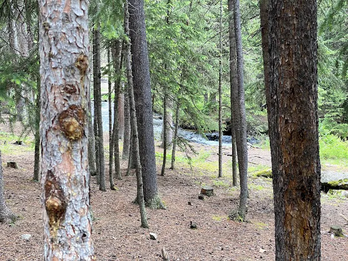 Middle Fork Campground Picture 9