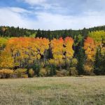 Hettinger Group Campground