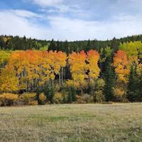 Hettinger Group Campground ico