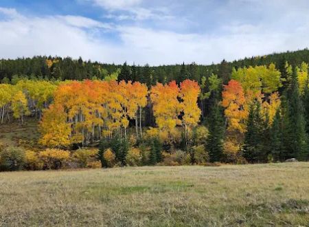 Hettinger Group Campground