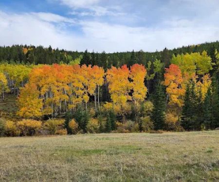 Hettinger Group Campground