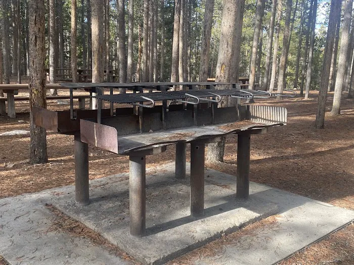 Hettinger Group Campground Picture 9