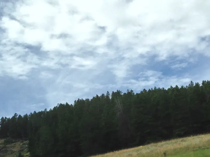 Hettinger Group Campground Picture 7