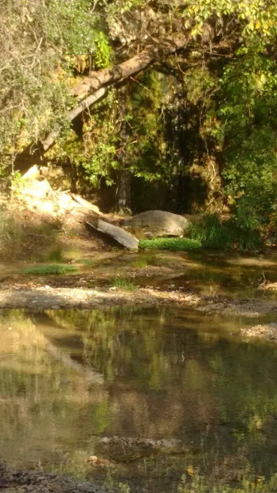 Lower pool (Camp El Tesoro) Picture 4
