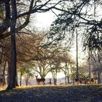 Myers Corner RV Park ico