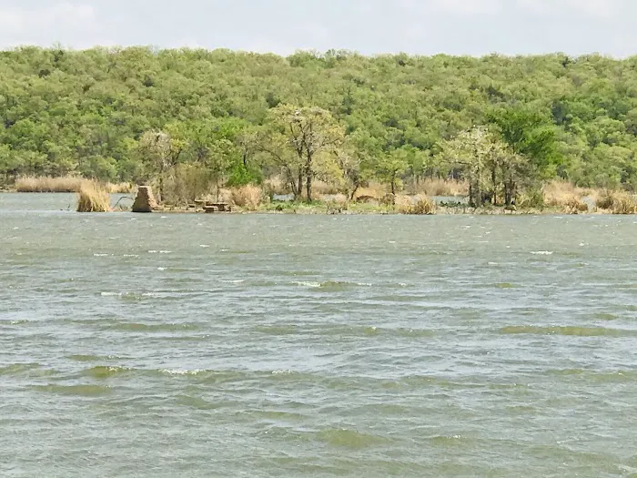 Screen Shelter Camping Area - Lake Mineral Wells State Park Picture 6