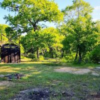 Buffalo Campsite ico